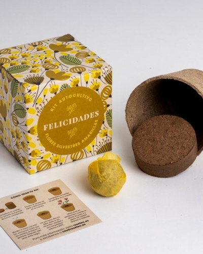 Kit Autocultivo Flores Felicidades Kit Autocultivo Flores Felicidades