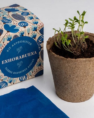 Kit Autocultivo Flores Enhorabuena Resetea Kit Autocultivo Flores Enhorabuena Resetea
