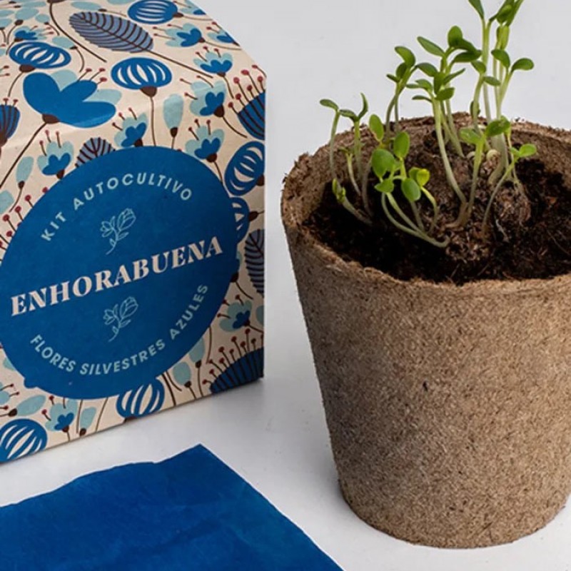 Kit Autocultivo Flores Enhorabuena Resetea Kit Autocultivo Flores Enhorabuena Resetea