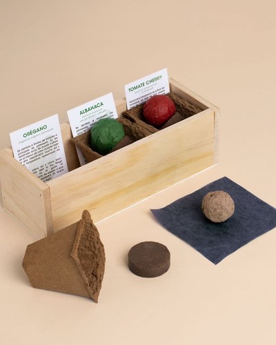 Kit Autocultivo Pizza Resetea Kit Autocultivo Pizza Resetea