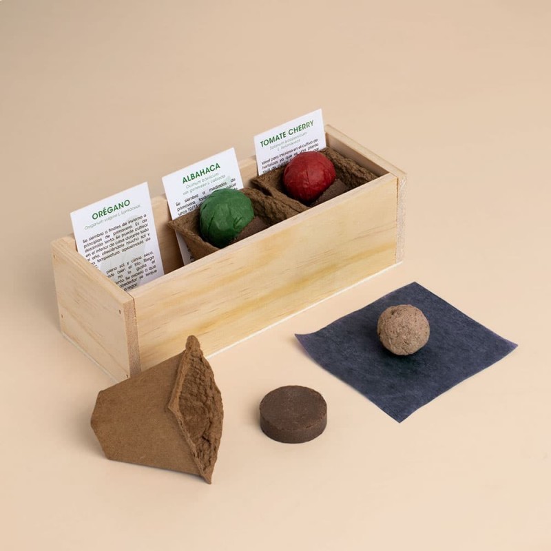 Kit Autocultivo Pizza Resetea