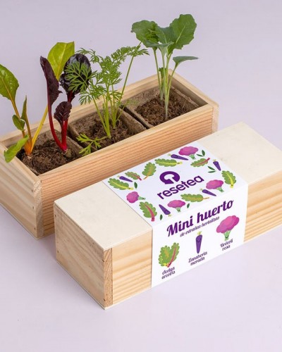 Kit Autocutlivo Mini huerto de Extrañas Hortalizas Resetea