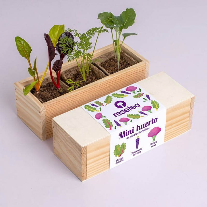 Kit Autocutlivo Mini huerto de Extrañas Hortalizas Resetea Kit Autocutlivo Mini huerto de Extrañas Hortalizas Resetea
