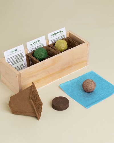 Kit Autocultivo Mojito Resetea Kit Autocultivo Mojito Resetea