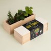 Kit Autocultivo Gin Tonic Resetea Kit Autocultivo Gin Tonic Resetea