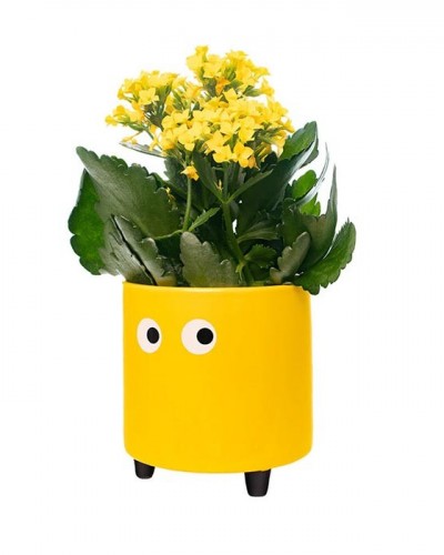 Macetero Ojos Amarillo Fisura