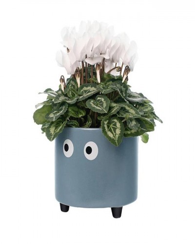 Macetero Ojos Azul Fisura