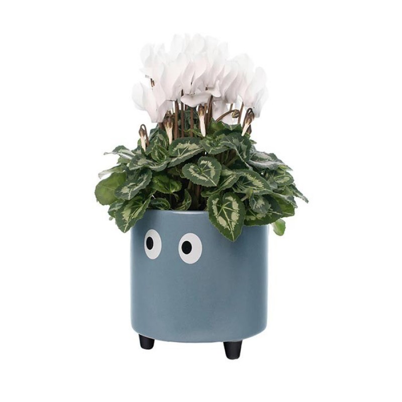 Macetero Ojos Azul Fisura Macetero Ojos Azul Fisura