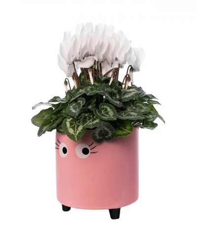 Macetero Ojos Rosa Fisura