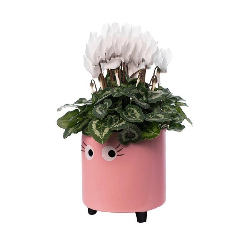 Macetero Ojos Rosa Fisura Macetero Ojos Rosa Fisura