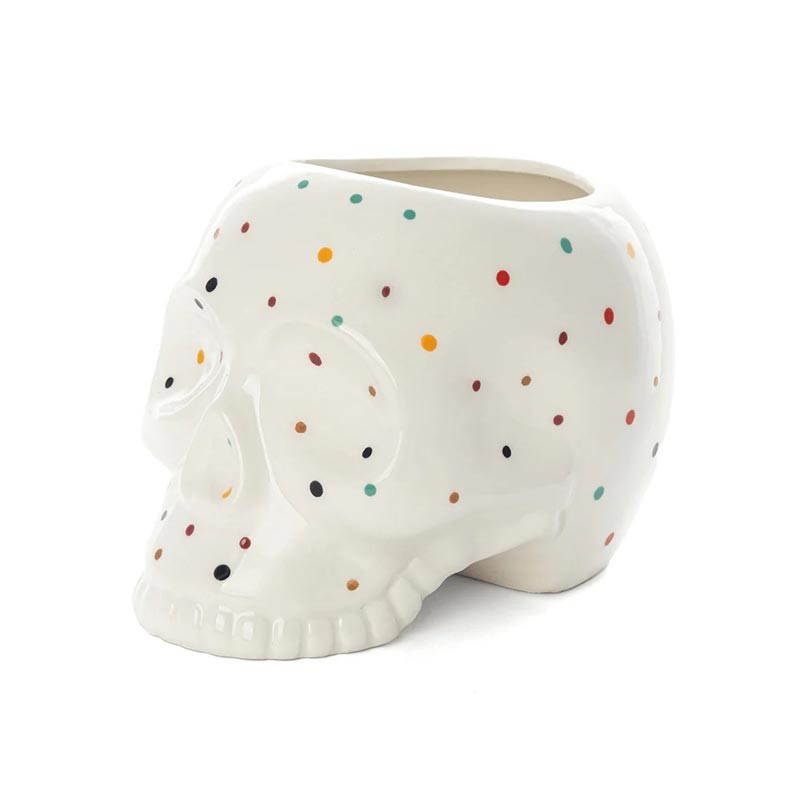 Macetero Calavera Blanca Fisura Macetero Calavera Blanca Fisura