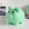 Green Piggy Bank I Total Green Piggy Bank I Total