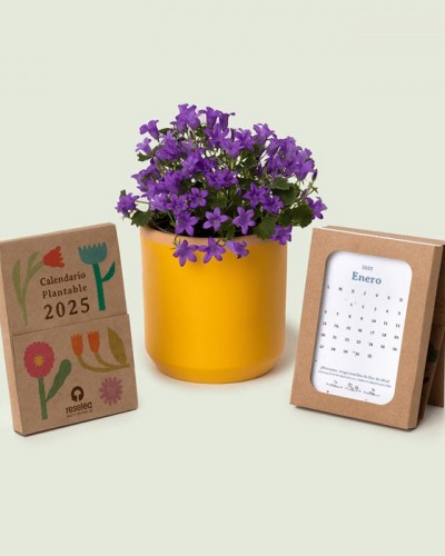 Calendario Plantable 2026 Resetea