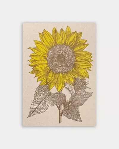 Postal Girasol Togethery