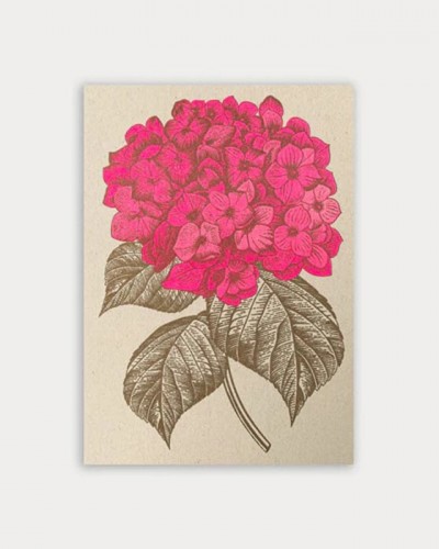 Postal Hortensia Togethery