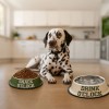 Comedero Bebedero Mascotas Drink Snack O clock Fisura