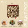 Macetero Leopardo Fisura Macetero Leopardo Fisura