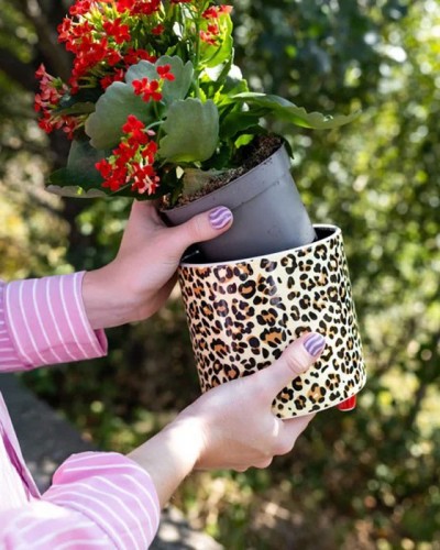 Macetero Leopardo Fisura Macetero Leopardo Fisura