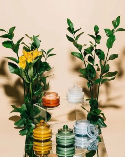 Vela Beam Violet Vanilla Paddywax