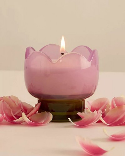 Vela Tulip Cristal Garden And Grove Paddywax