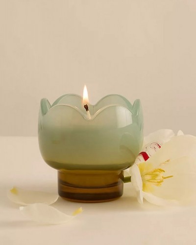 Vela Tulip Cristal Wisteria and Willow Paddywax