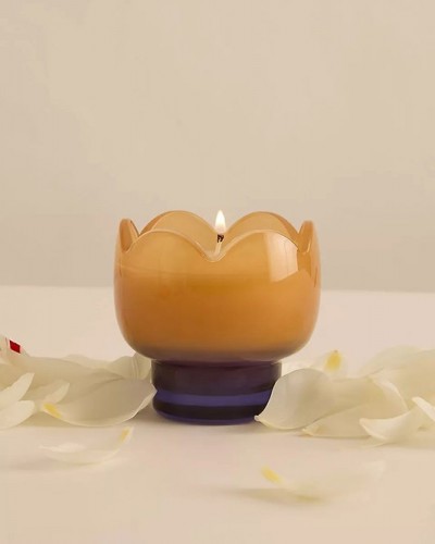 Vela Tulip Cristal Bronzed Gardenia Paddywax