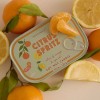 Vela Bistro Citrus Spritz Paddywax