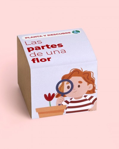 Planta y Descubre partes flor Resetea