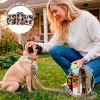Pack Collar Correa Born to be Wild S