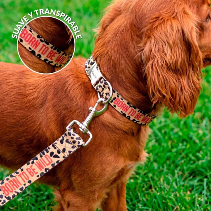Pack Collar Correa Born to be Wild L Fisura