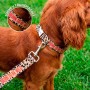 Pack Collar Correa Born to be Wild L Fisura