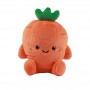 Cojin Carrie Carrot ITotal