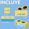 Gafas Sol summer club Fisura